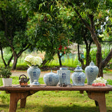 Yausun blue and white happiness pots big set